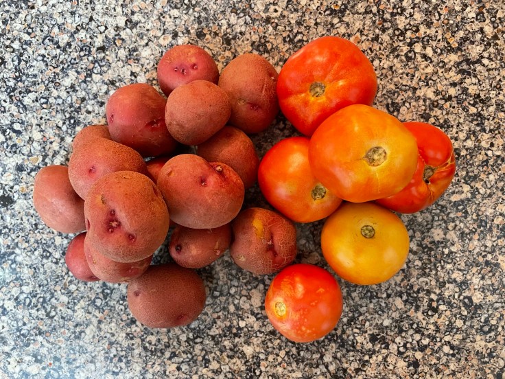 Today’s Fresh Produce Haul (8-11-22): Farmers Markets Are My Spirit&nbsp;Animal