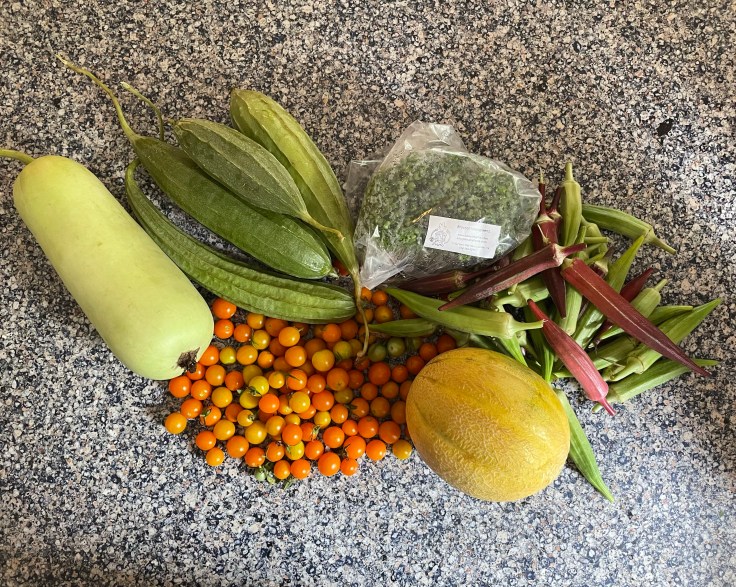 Todays Fresh Produce Haul AND Annual PhysicalUpdate&nbsp;(8-24-22)