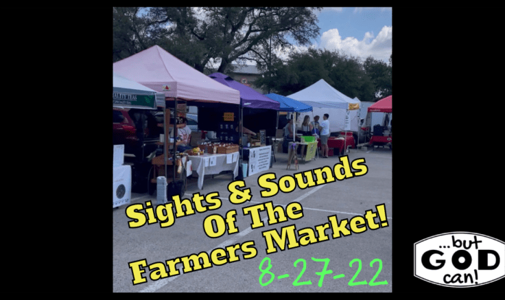 Healthy Lifestyle Shopping: Farmer’s Market Haul&nbsp;(8-27-22)