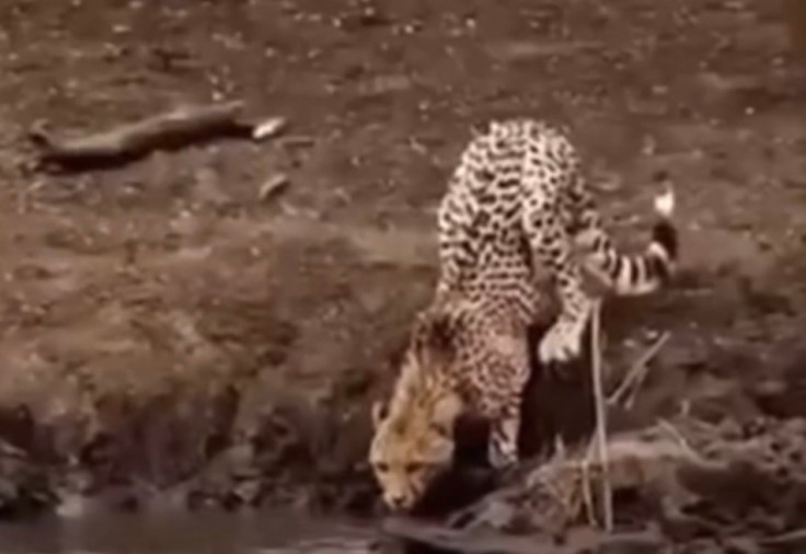 When The Devil Thinks He’s Got You…