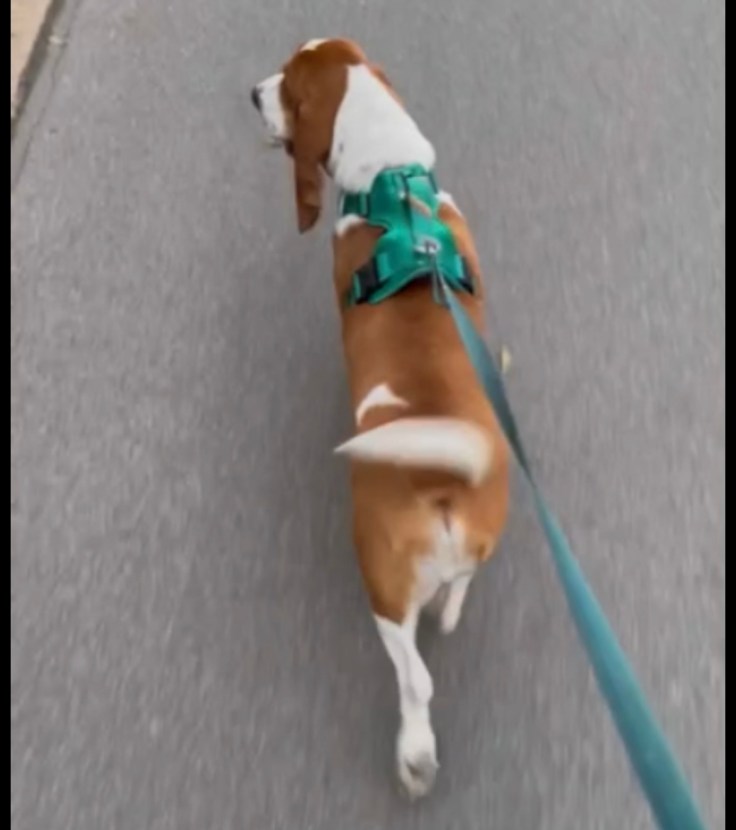 My #Workout Partner This&nbsp;Evening