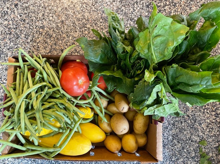 This Weeks Farmers Market Haul (1-29-23): Veggies and Meats Abound!