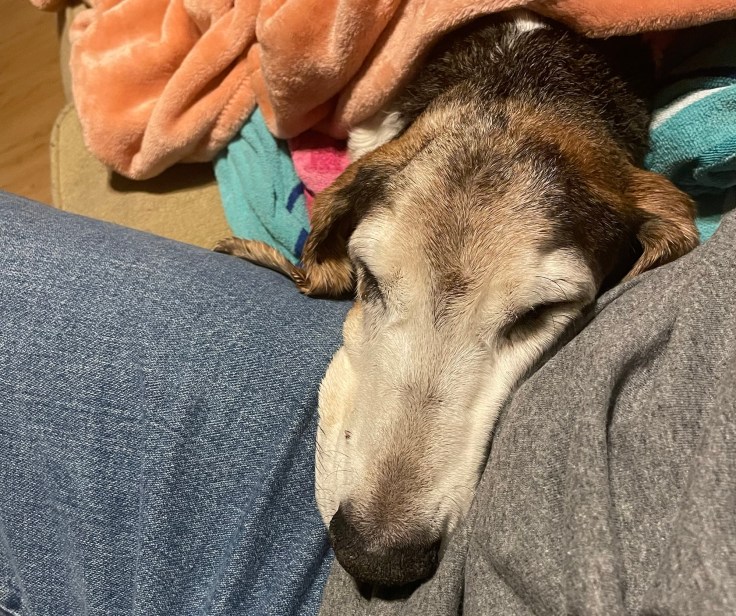 Godspeed George! I’ll Miss You&nbsp;Buddy!