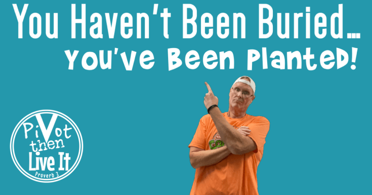 You Haven’t Been Buried, You’ve Been&nbsp;Planted!