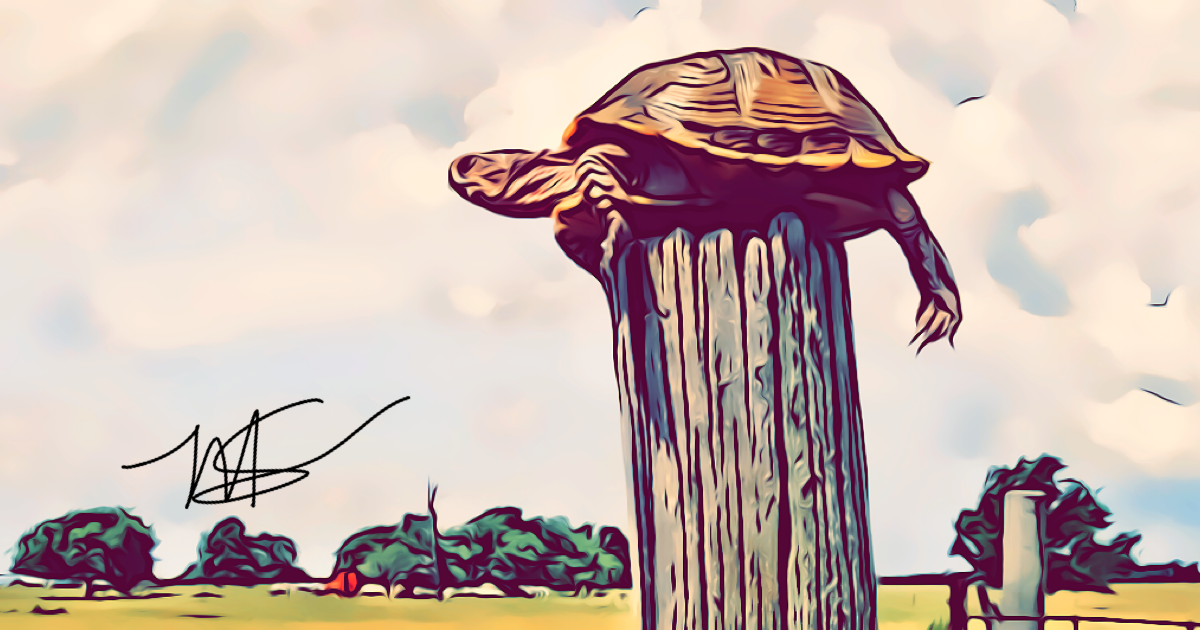 The Turtle on the Fence Post: Recognizing Help in Our Journey – Mitch ...